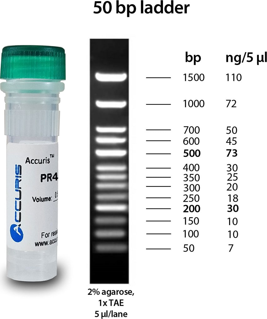 Accuris PR4005-S - SmartCheck 50bp DNA Ladder
