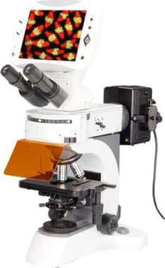 BestScope BLM-700A Digital LCD Fluorescence Microscope