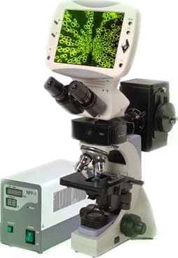 BestScope BLM-750 Digital LCD Fluorescence Microscope