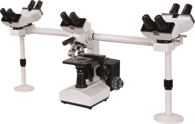 BestScope BS-2030MH10 Multi-Head Microscope