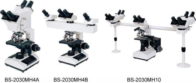 BestScope BS-2030MH4A Multi-Head Microscope