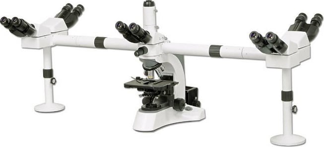 BestScope BS-2080MH10 Multi-Head Microscope