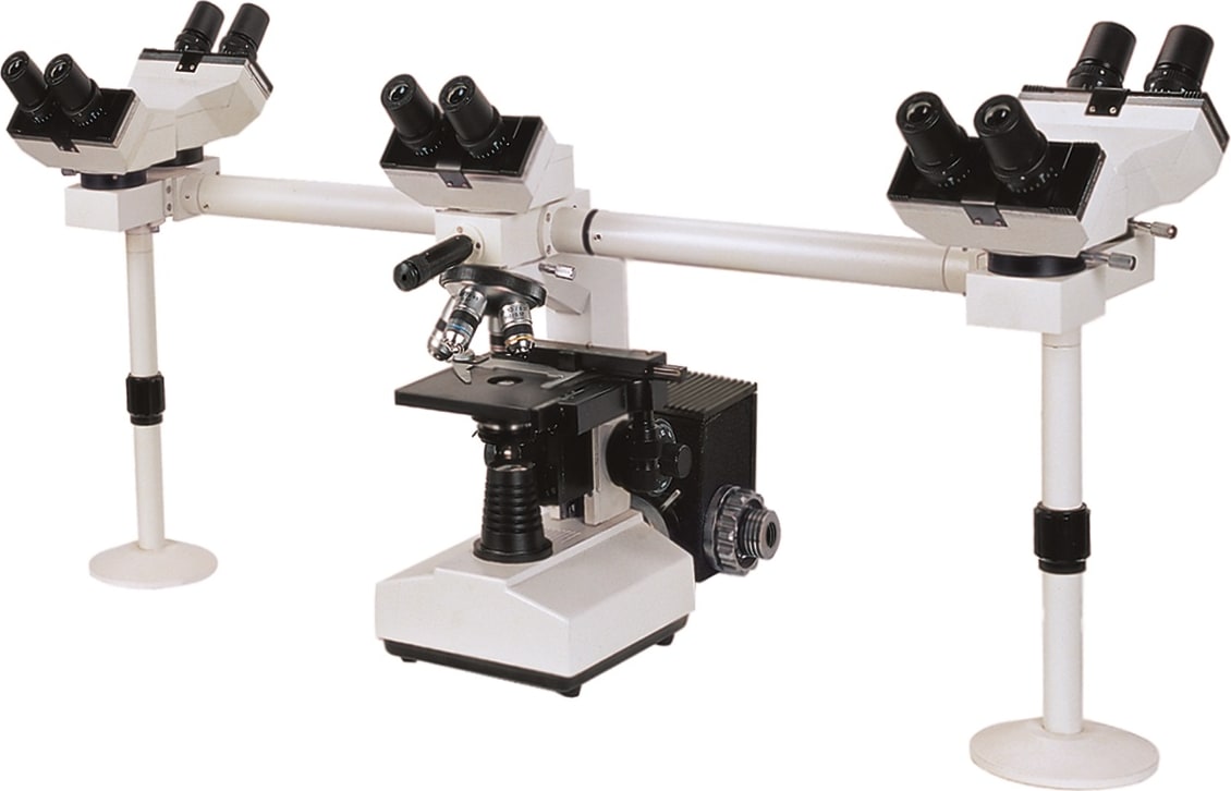 BestScope BS-2080MH6 Multi-Head Microscope