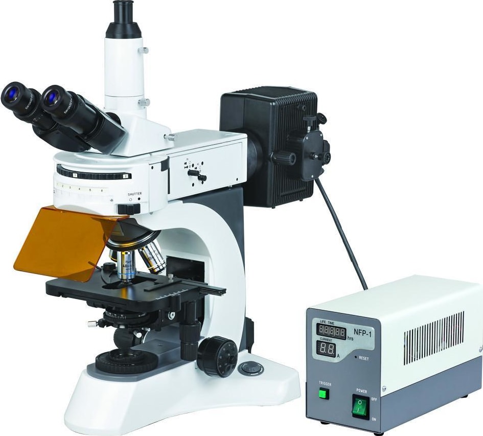 BestScope BS-7000A Laboratory Fluorescent Microscope