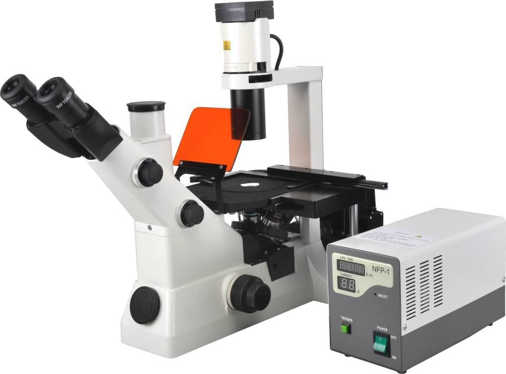 BestScope BS-7020 Inverted Laboratory Fluorescent Microscope