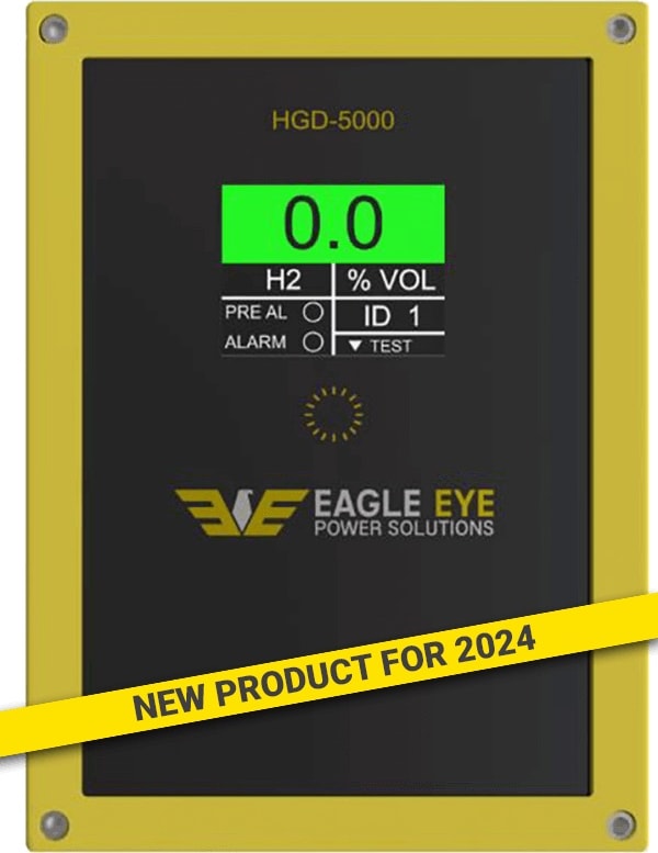 Eagle Eye HGD-5000 - Hydrogen Gas Detector (AC or DC Power, Replaceable Sensor)
