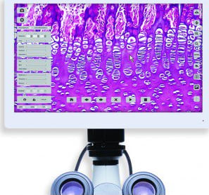 Meiji Techno HD1500TM - High Definition Microscopy CMOS Camera
