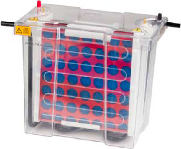 Labnet International E2020-HITB ENDURO VE20 HS Blotting System, High Intensity System