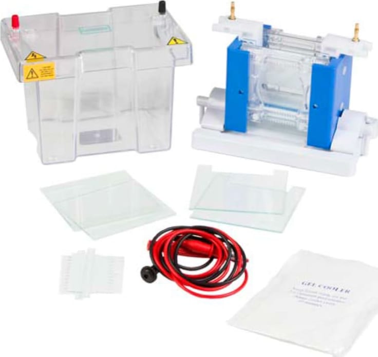 Labnet International E2010-PA - Enduro PAGE System