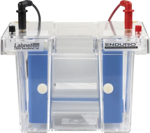 Labnet International E2010-PBA - Enduro PAGE Electroblotting System
