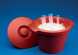 Labnet International K1000 Red Ice Bucket with Lid, 270 x 200 mm