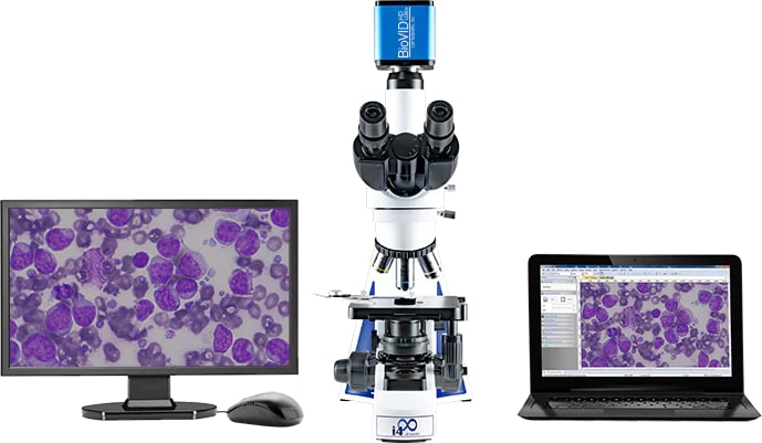 LW Scientific BioVID HD 1080+ - Microscope Camera