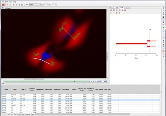 Meiji Techno Dynamics+Neuro - Software Package