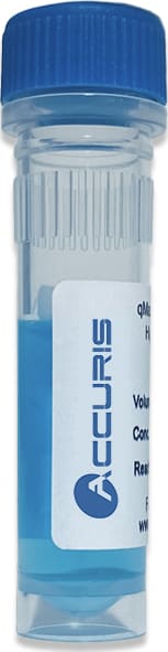 Accuris PR2000-L-50BLK - qMAX Green Low ROX qPCR Mix with Blue Tracking Dye, 5000 Reactions