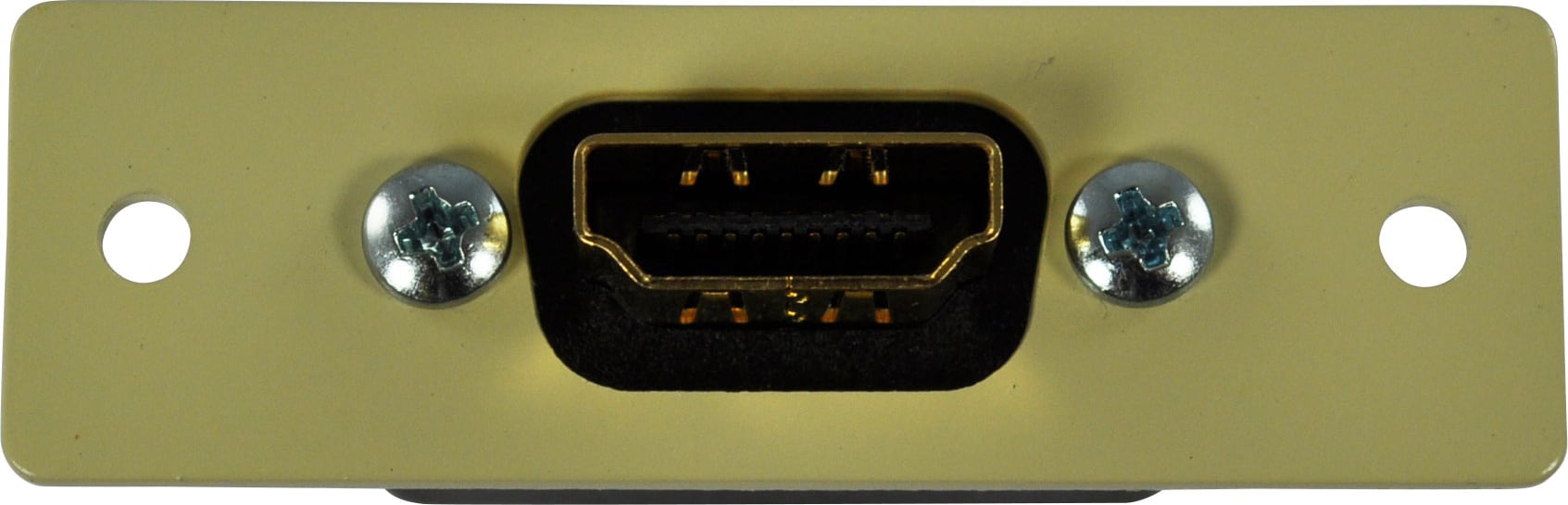 FSR IPS-V610S-IVO Digital Video Connector Inserts