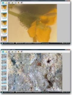 Motic IMAGES MULTI FOCUS PRO - Multi-Focus Image Software for PC Only